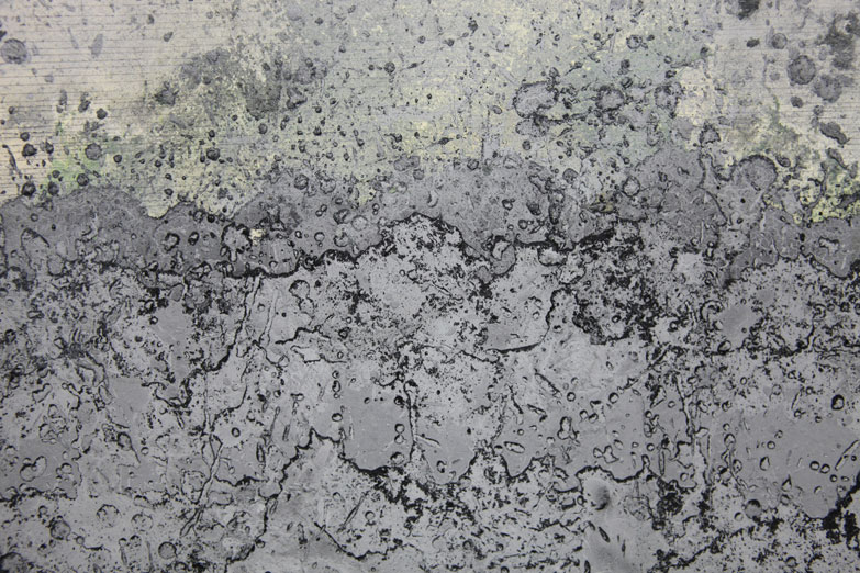 ROBERTO CALBUCCI 1WO-11