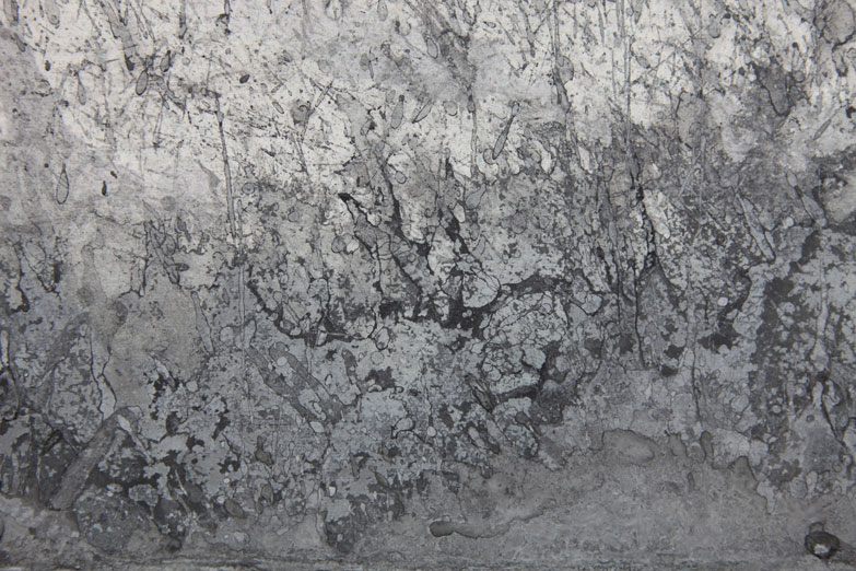 ROBERTO CALBUCCI 10WO-6
