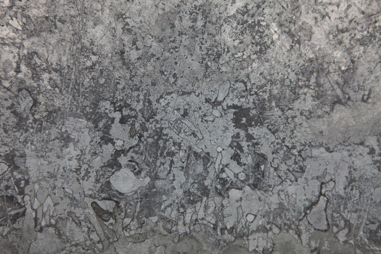 ROBERTO CALBUCCI 10WO-7