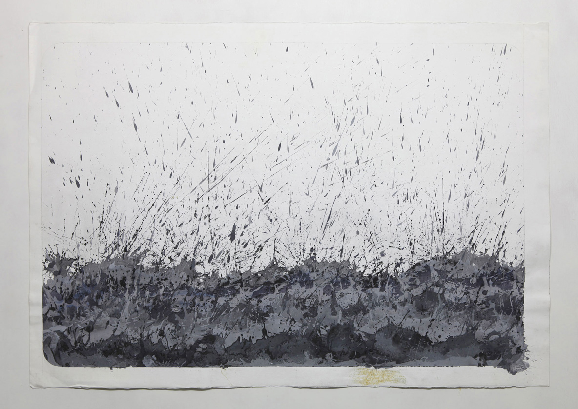 ROBERTO-CALBUCCI-WO15