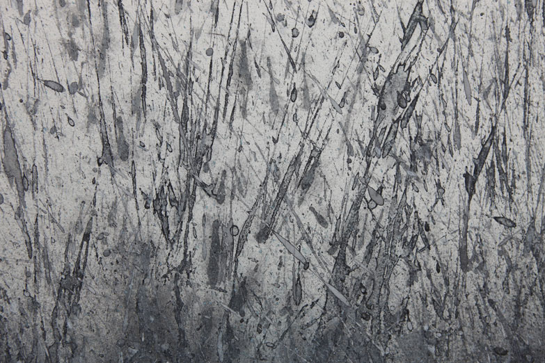 ROBERTO CALBUCCI 9WO-7